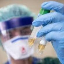 Установлено, почему коронавирус более опасен для пожилых людей