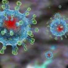 Может ли коронавирус передаваться половым путем: выяснили эксперты