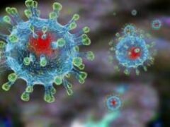 Эксперты назвали способ, как избежать летального исхода при коронавирусе