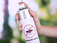 Помогут ли средства от насекомых бороться с коронавирусом