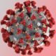 Мужские яички могут быть «тайником» для коронавируса