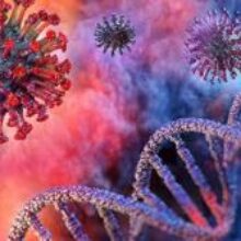 Стало известно, почему коронавирус поражает легкие