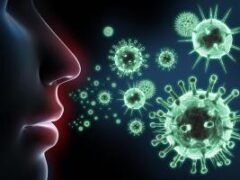 Как определить «силу» своего иммунитета и предрасположенность к пневмонии: объясняет иммунолог