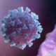Ученые из США заявили о катастрофической смертности от коронавируса