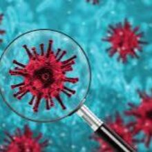 Выявлен неожиданный фактор, в пять раз снижающий риск заболеть COVID-19