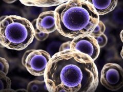Перепрограммирование стволовых клеток может повысить эффективность иммунотерапии