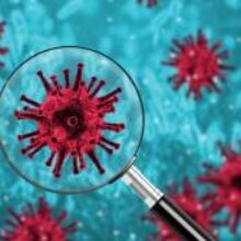Австралийский штамм коронавируса распространяется в 5 раз быстрее