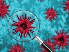 Австралийский штамм коронавируса распространяется в 5 раз быстрее