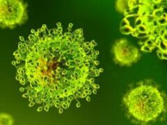 Гигантские вирусы заподозрили в наличии энергетического метаболизма