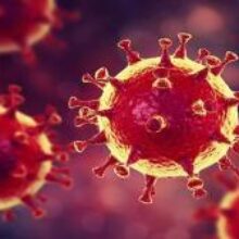 Спутник V защитит от британской мутации коронавируса