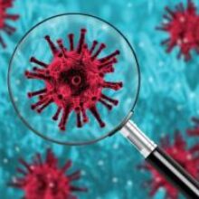 Южная Африка отвергает утверждение, что ее штамм коронавируса более опасен, чем британский