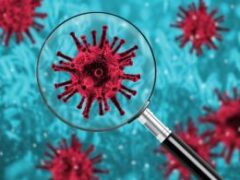 Южная Африка отвергает утверждение, что ее штамм коронавируса более опасен, чем британский
