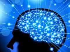 Пять правильных привычек для улучшения работы мозга