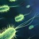 Ученые открыли удивительные факты о бактериях