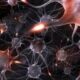Что влияет на выживаемость нейронов при инсультах и травмах головы: выяснили российские ученые