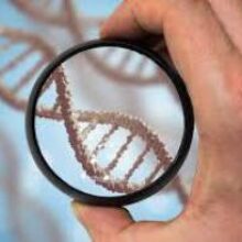 Тест ДНК подскажет лучший вид тренировок — врачи