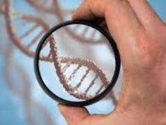 Тест ДНК подскажет лучший вид тренировок — врачи