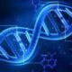 «Мусорная» ДНК может спровоцировать наркотическую зависимость