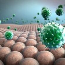 В Германии и Швейцарии обнаружили британский штамм коронавируса