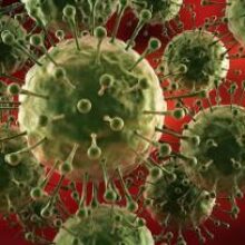 В Китае обнаружилась новая «горячая точка» по коронавирусу