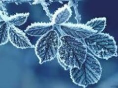Мороз как омолаживающая процедура: извлекаем пользу из холода