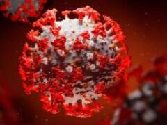 Ученые выявили фактор, вдвое повышающий риск смерти от коронавируса