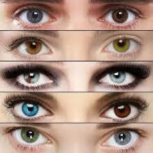 Что может рассказать о здоровье цвет глаз