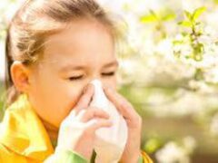 Распространенность аллергии среди детей