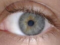 Ученые смогут диагностировать болезнь Паркинсона по глазам